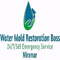 Water Mold Restoration Boss of Miramar image 1